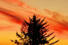 9 23 sunset one 018.webp