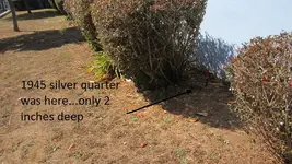 Silver Quarter 004.webp