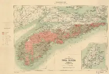 goldmapNS.webp
