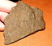 DSCN7334.webp