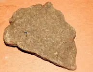 DSCN7336.webp