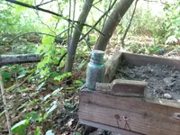 DSC01177.webp