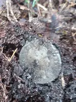 20171103_122817.webp