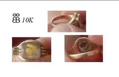 Ring.webp