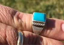 ImageUploadedByTreasureNet.com1509755952.345516.webp