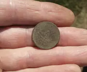V nickel clean 2.webp