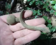 unknown 1.webp