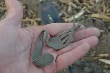 Shield Nickel Sunday 016.webp