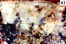 High grade gold pockets in Quartz.webp