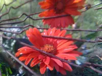 1019171428.webp