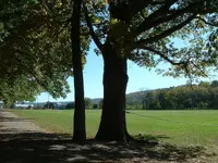DSCF0005.webp