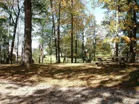 DSCF0008(2).webp