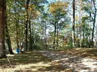 DSCF0009.webp