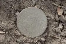 Shield Nickel Sunday 007.webp