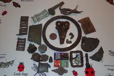 Shield Nickel Sunday 020.webp