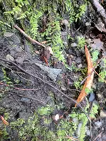 IMG_20170903_155157.webp