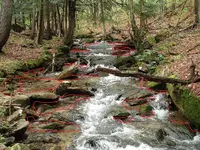 Stream3 marked.webp Stream3 marked.webp