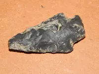 DSCN7555.webp