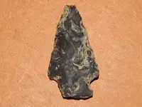 DSCN7556.webp
