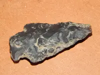 DSCN7558.webp