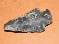 DSCN7559.webp