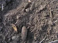 DSCF1153.webp