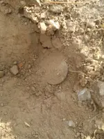1905ground.webp