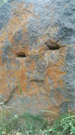 434139710_207167.webp