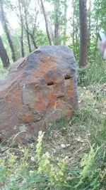 435504485_27751.webp