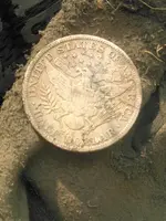 1905back.webp