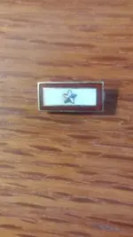 silver star.webp