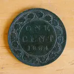 DSCF1199c.webp