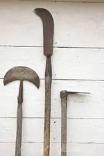root cutters.webp