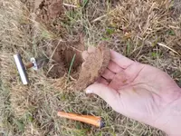 20171020_130558.webp