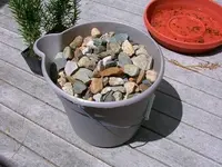 coinrock.webp