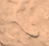 wp_ss_20171027_0011 (2).webp