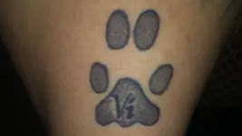 0914172004.webp