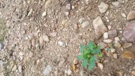 20171012_091307.webp