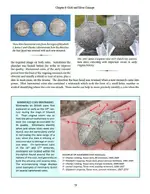 book sample page 79.webp