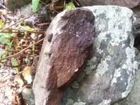 20170905_100429.webp