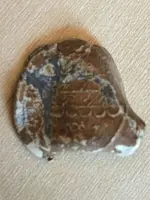 ImageUploadedByTreasureNet.com1509129655.073376.webp