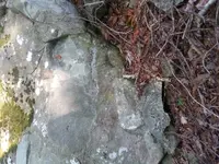 20170905_100337.webp