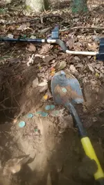1509813604637.webp