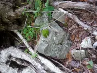 20170905_100327.webp