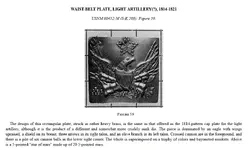 beltplate.webp