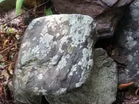 20170905_100238.webp