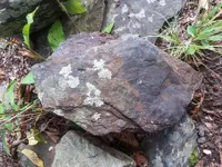 20170905_103228.webp