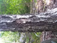 20170905_111021.webp