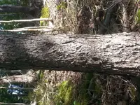 20170905_110939.webp