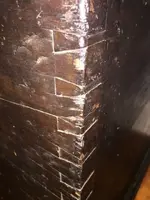 trunk02.webp